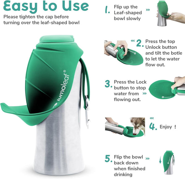 LumoLeaf Pet Water Bottle
