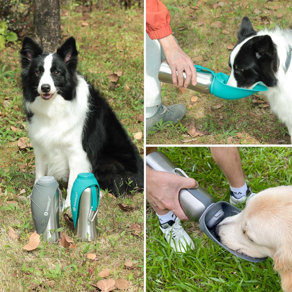 LumoLeaf Pet Water Bottle
