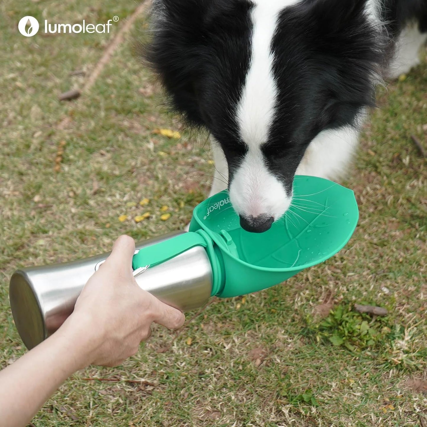 LumoLeaf Pet Water Bottle
