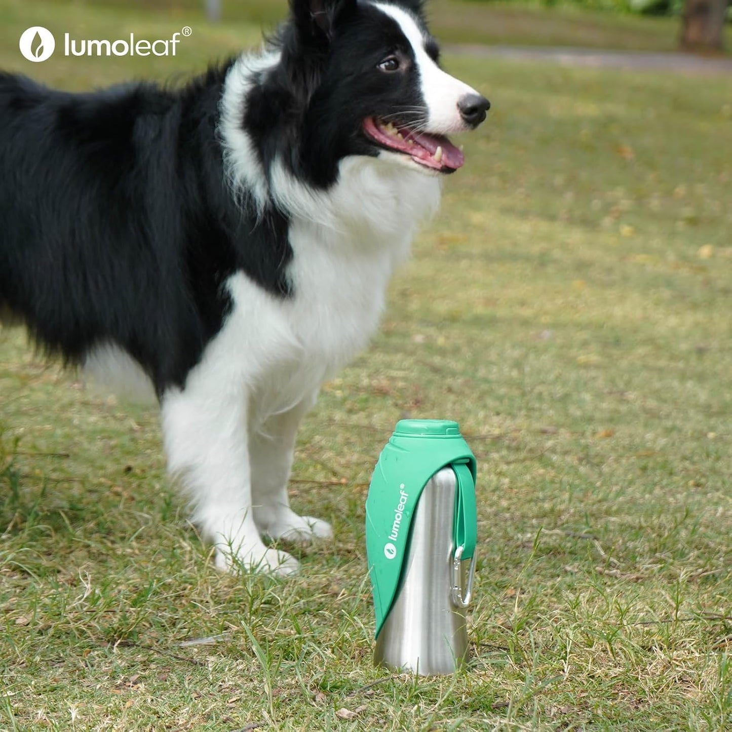 LumoLeaf Pet Water Bottle